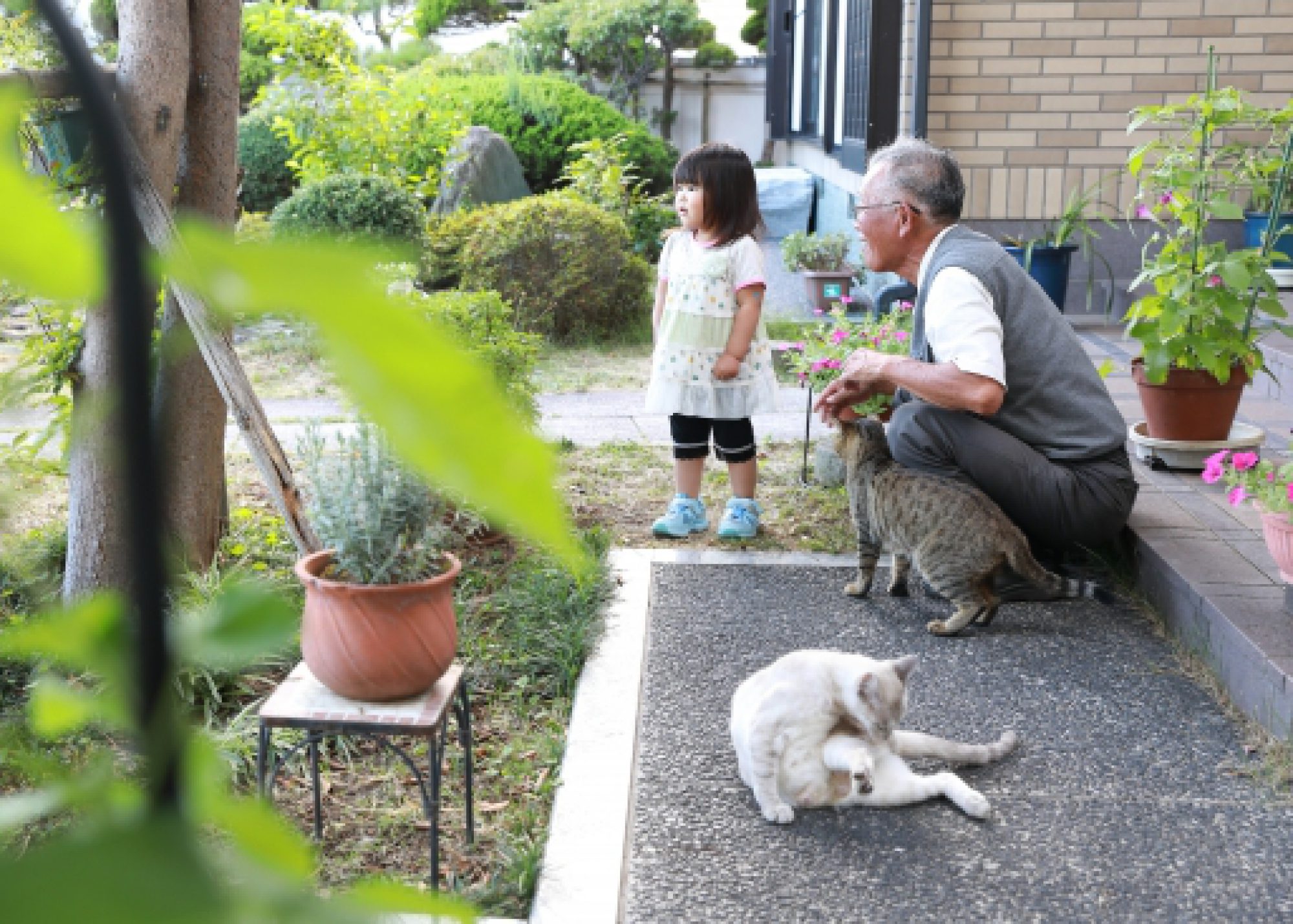 我が家の様なのんびりとくつろいで頂ける、居場所“夢心”